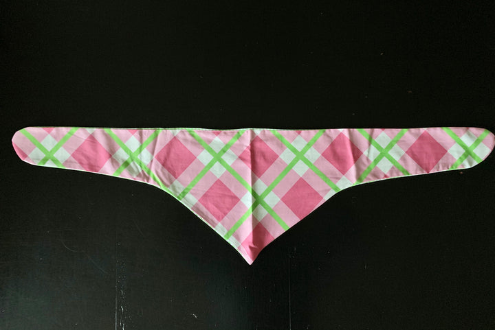 Dog Bandana For Charity